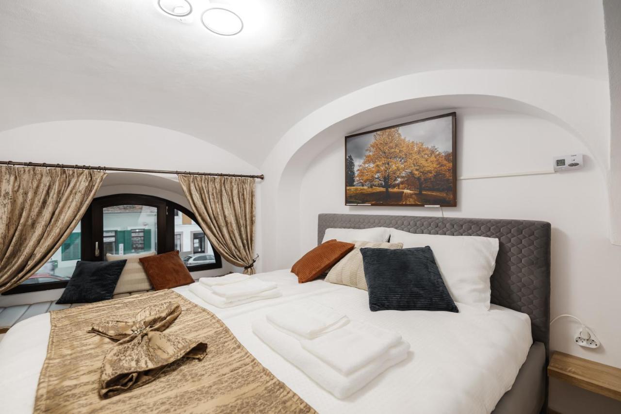 Downtown Cio Apartment Sibiu Esterno foto